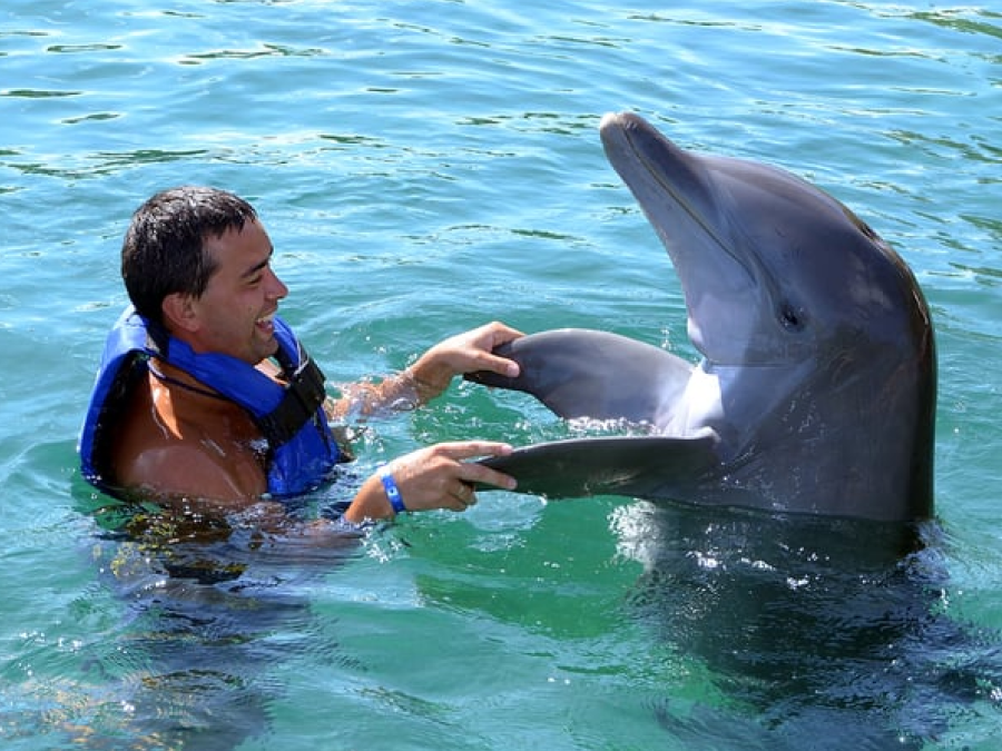 Your luxury vacation escape in Drax Hall 7 (1)