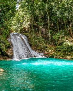 Three-Stunning-Apartments-to-Choose-From-2-1-241x300 (1)